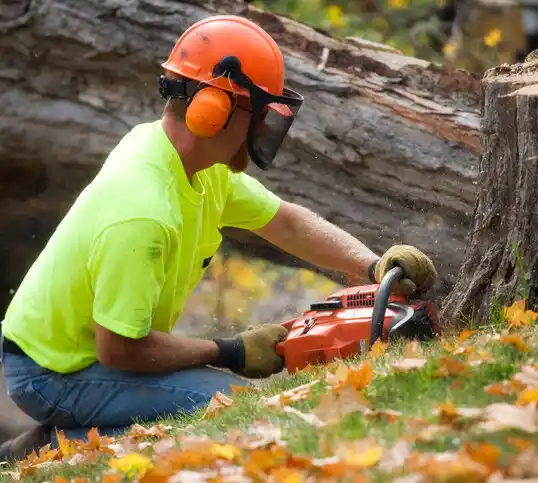 tree services New Carrollton